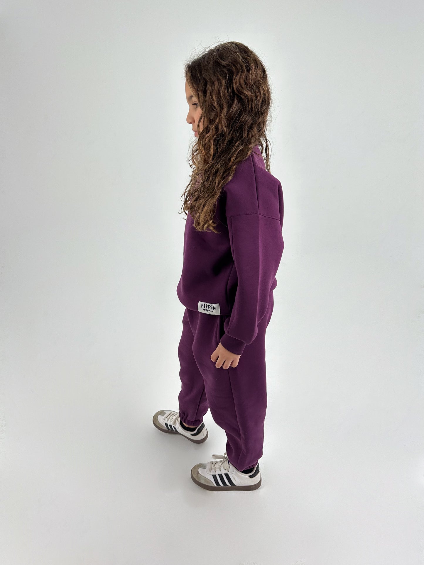 Dark Purple Fleeced Zipper Sweatshirt Set